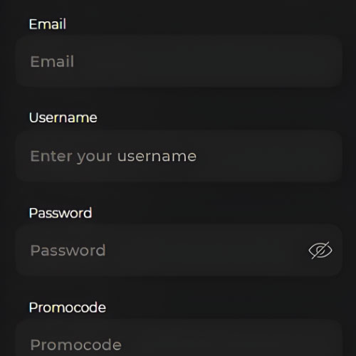 Instruction Geben Sie Ihre Daten ein